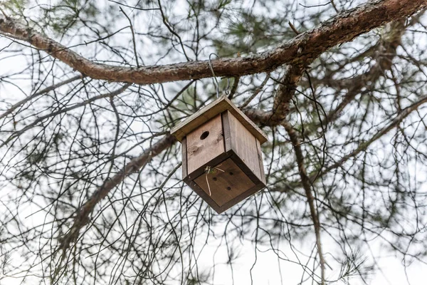 Birdhouse Pendurado Uma Árvore Temporada Outono — Fotografia de Stock