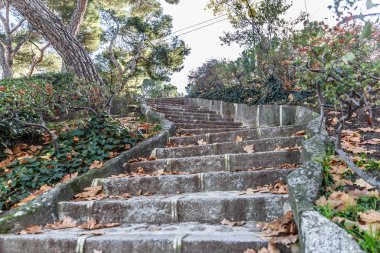 Taş merdiven kurutulmuş yaprakları ile Sonbahar sezonunda kaplı.
