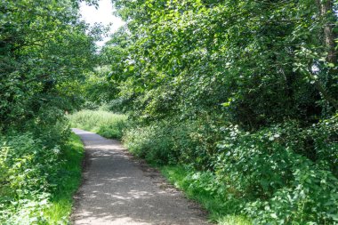 Yeşilliklerle çevrili ve hiking, Norwich, İngiltere'de hazırlanan kırsal yürüyüş
