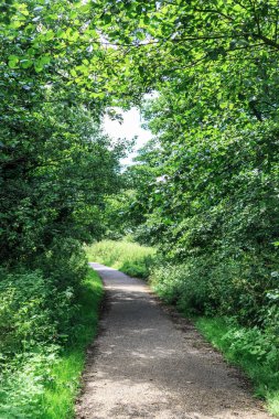 Yeşilliklerle çevrili ve hiking, Norwich, İngiltere'de hazırlanan kırsal yürüyüş