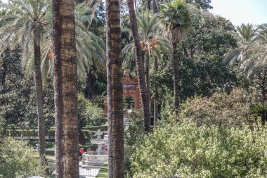 Gerçek Alcazar bahçeleri Seville, Endülüs, İspanya