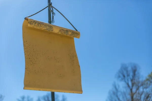 Poster with classic parchment shape ready to write something on it, located on the left side