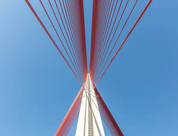 Pont Haubans Castilla Mancha Talavera Reina Tolède Espagne — Photo