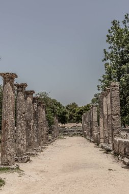 Olympia, Yunanistan, iki satır taş sütunlar. Antik sütunların bir