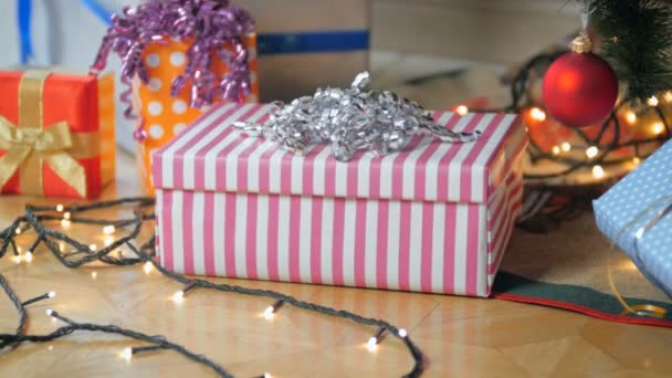 4k filmato di carino gattino grigio a piedi fuori dalla confezione regalo di Natale — Video Stock