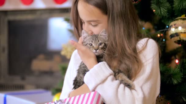 Gyönyörű tizenéves lány fehér kötött pulóver átölelve szürke cica karácsonyfa alatt — Stock videók