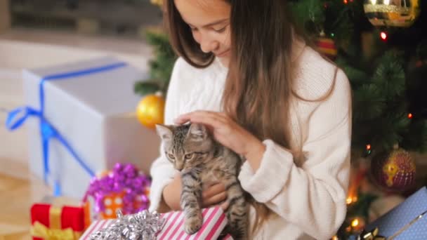 Retrato de bela mulher jovem sorridente acariciando pequeno gatinho sob árvore de Natal em casa — Vídeo de Stock