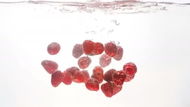 4k кадров крупным планом спелой красной малины, падающей и плавающей в воду — стоковое видео