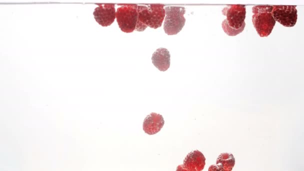 Closeup 4k vídeo de framboesas maduras frescas flutuando na água contra o backgorund branco — Vídeo de Stock