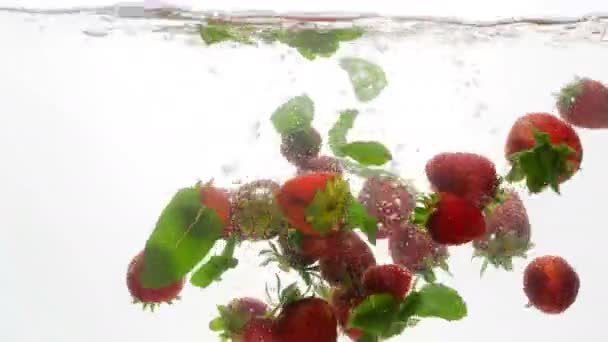 4 k videa z čerstvých zralých jahod, malin a máty v studené vodě proti bílým pozadím