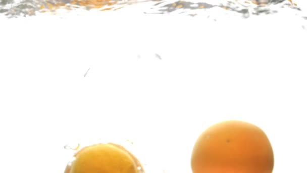 Slow motion blurred footage of orange, lemon and grapefruit falling into water against white background — Stock Video