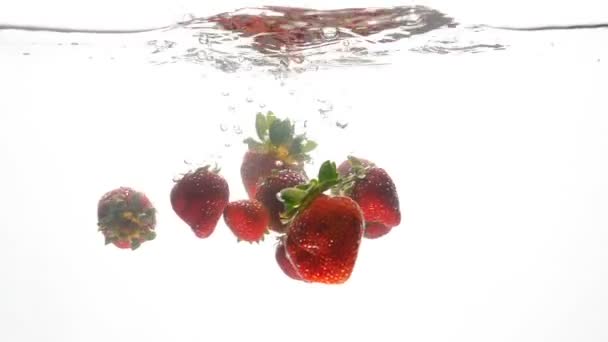 Primer plano video mtoion lento de fresas frescas maduras cayendo en el agua sobre fondo blanco — Vídeos de Stock