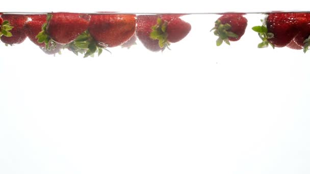 水下漂浮在白色背景下的树莓慢动作视频 — 图库视频影像