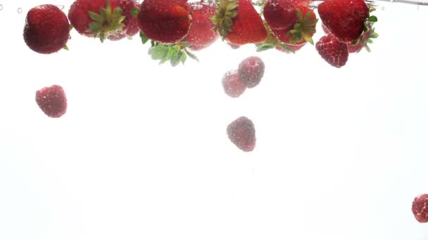 Nahaufnahme Zeitlupenaufnahmen roter reifer Beeren, die im klaren Wasser vor weißem Hintergrund schwimmen und ertrinken — Stockvideo