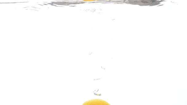 Gros plan des images à grande vitesse d'un citron frais juteux tombant et éclaboussant dans l'eau froide sur fond blanc — Video
