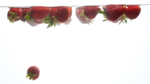 Closeup slow motion footage of ripe strawberries floating on water surface against white background — Stock Video