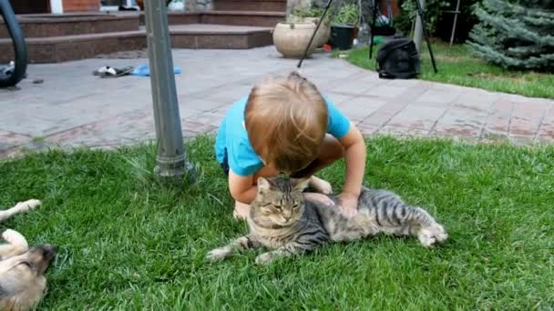 4k видео очаровательного мальчика ласкающего серого кота лежащего на траве на заднем дворе — стоковое видео