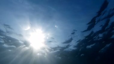 Parlak güneş ışığı deniz altından ararken yavaş hareket sualtı video