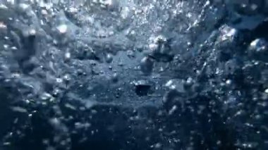 Hava kabarcıkları yüzeye deniz altından yüzen bir sürü slow motion video