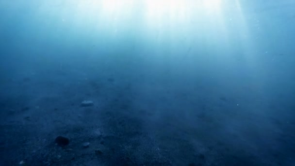 Imágenes subacuáticas en cámara lenta del fondo marino arenoso con guijarros — Vídeos de Stock