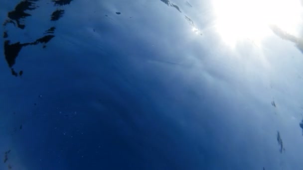 Vídeo subacuático en cámara lenta de sol brillante brillando a través de la calma de la superficie del mar — Vídeos de Stock