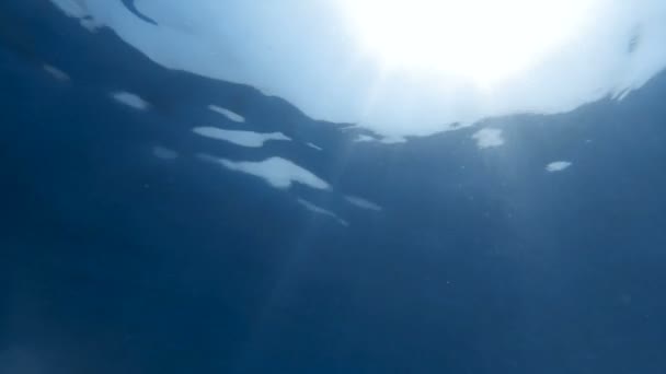 Vue depuis le fond de la mer sur les bulles d'air et les particules de poussière flottantes et brillantes dans les rayons du soleil — Video