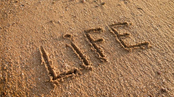 Imagem de close-up da palavra Vida escrita na areia molhada na praia — Fotografia de Stock