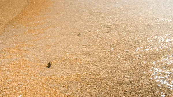 Macro image of wet golden sand on sea beach at sunny day — Stock Photo, Image