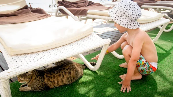 Cute chłopiec uśmiechnięty maluch siedzi na plaży i patrząc na kota leżącego pod solarium — Zdjęcie stockowe