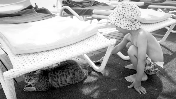 Czarno-biały obraz małego chłopca z kotem na plaży na morzu — Zdjęcie stockowe