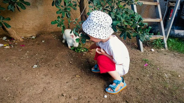 Adorable niño sentado al lado de rabit bajo el árbol — Foto de Stock