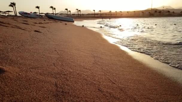4k schönes Video vom perfekten Strand mit goldenem Sand bei Sonnenuntergang. ruhige Wellen und strahlende Sonne über der Wasseroberfläche — Stockvideo