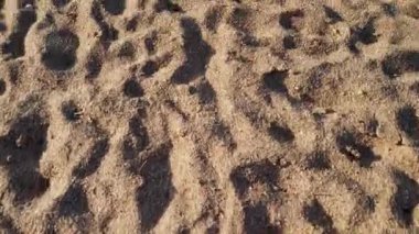 Kum üzerinde hareket eden ve sahilde sakin deniz dalgaları ortaya kamera 4k video