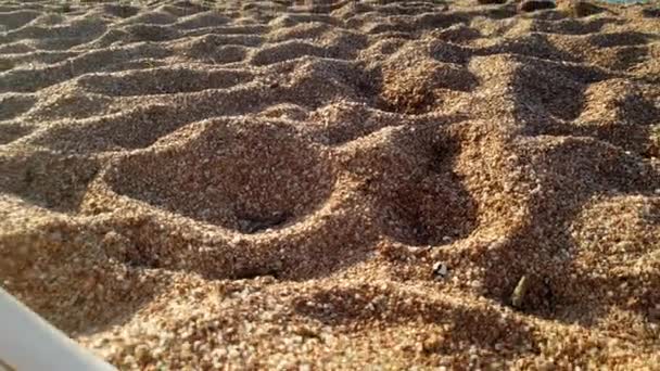 4k Video von Mann beim Schnorcheln am Strand. Kamera fliegt durch Rettungsboje — Stockvideo