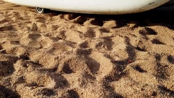 4K bilder av katamaran stående på Sandy Sea Beach — Stockvideo