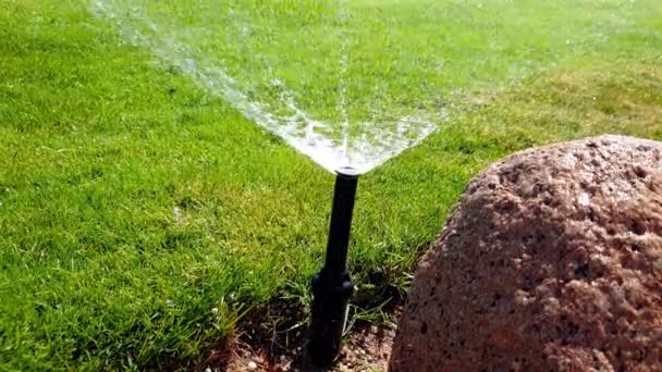 Nahaufnahme 4k Filmmaterial von automatischer Wassersprengung beim Bewässern des grünen Rasens im Hotelresort — Stockvideo