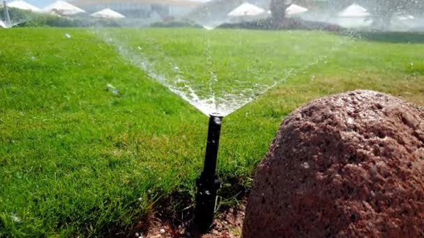 暑い晴れた日に緑の草に水をまく水スプリンクラーのクローズアップ4k映像 — ストック動画