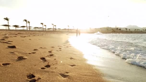 夕日の光の中で砂浜のビーチを歩く愛のカップルの4kビデオ — ストック動画