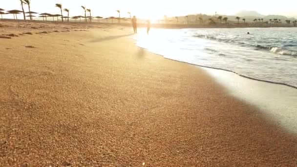 夕暮れ時に黄金の砂と完璧なビーチの4K美しいビデオ。水面に穏やかな波と輝く太陽 — ストック動画