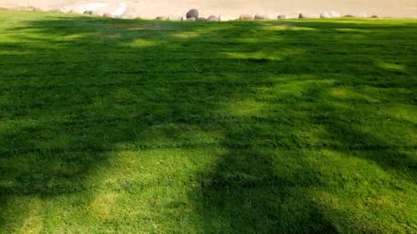 4k-beelden van prachtig groen gras gazon en zandstrand op zonnige dag — Stockvideo