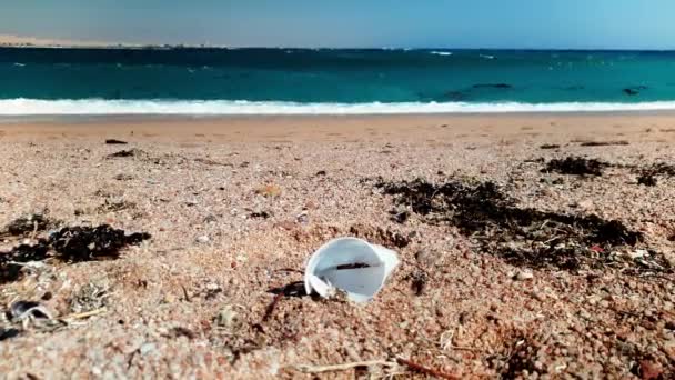 4k video de taza de plástico, basura y escombros que yacen en la playa de mar. Concepto de contaminación y desastres naturales — Vídeos de Stock