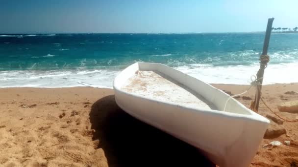 4K-video av gammal vit trä kanot på den övergivna sandstranden — Stockvideo