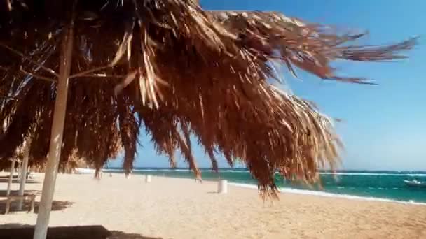 4k metraje de paraguas revoloteando bajo el fuerte viento en la playa del mar — Vídeo de stock