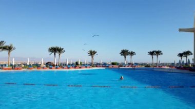 Plaj tatil açık yüzme havuzu üzerinde uçan martılar 4k video