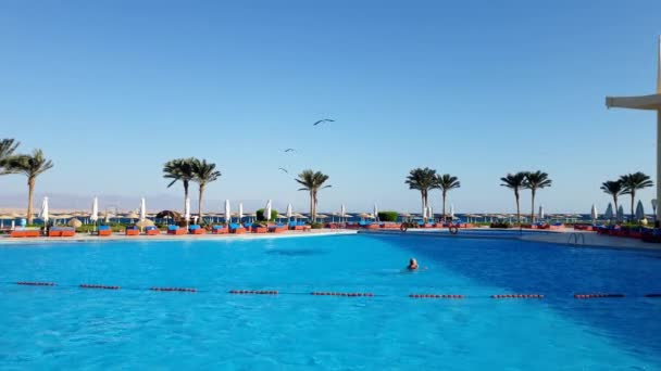 4k video de gaviotas volando por encima de la piscina al aire libre en el complejo de playa — Vídeo de stock
