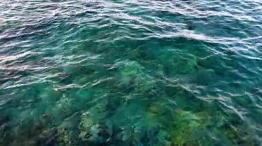 Güzel turkuaz deniz dalgaları ve altında büyüyen canlı mercan 4k video