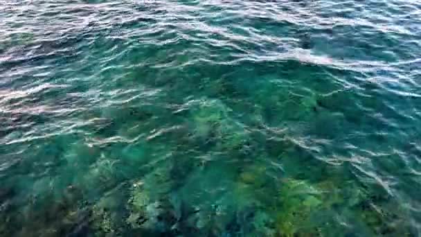 4k-video van prachtige turquoise zee golven en live koralen groeien op de bodem — Stockvideo