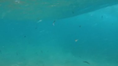 Haddeleme deniz dalgaları güzel sualtı 4k video. Deniz dibinden görünüm