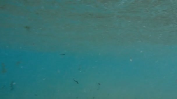 4k video da sotto la superficie dell'oceano sulle onde rotolanti in una giornata di sole brillante — Video Stock