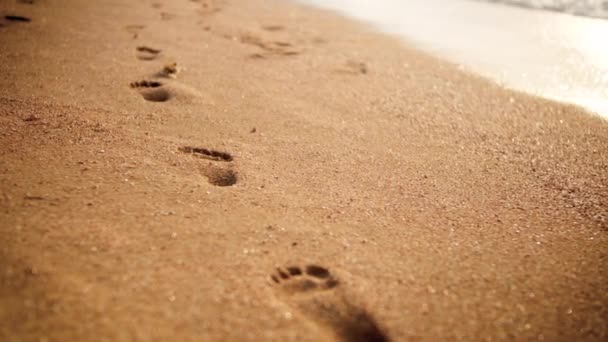 4k footage of footprints on golden beach sand at sunset light — Stock Footage 4k footage of footprints on golden beach sand at sunset light Stock Footage